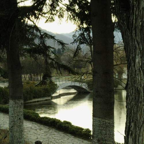 Photo #10499494