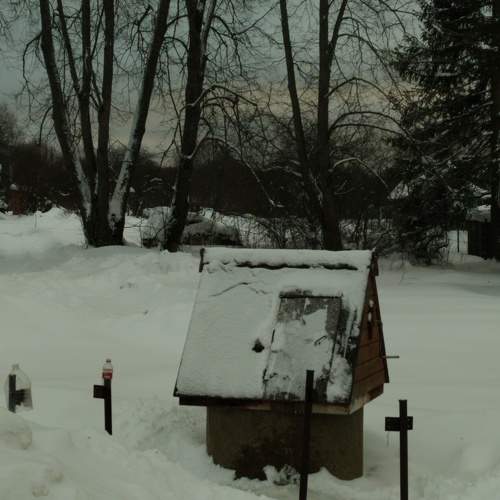 Photo #10499497