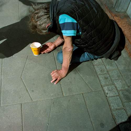 Photo #10499641