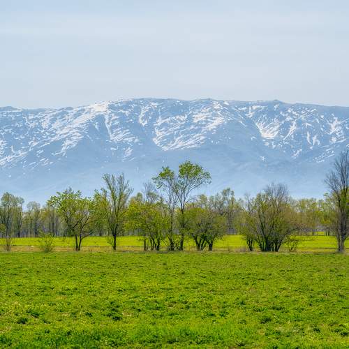 Фотография #10499900