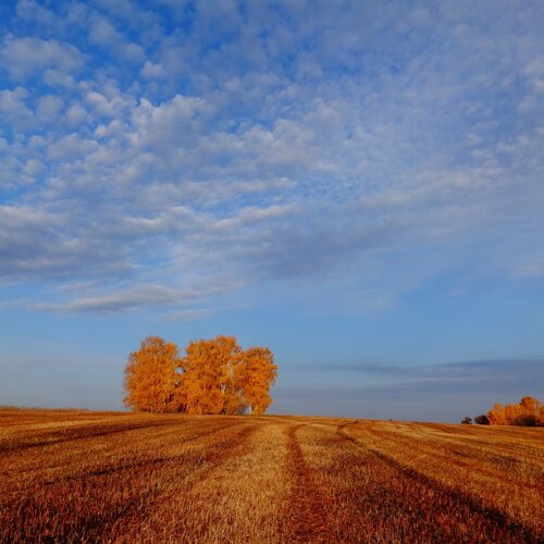 Photo #1053438