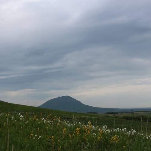 Серое утро