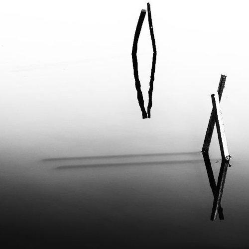 Photo #1054807