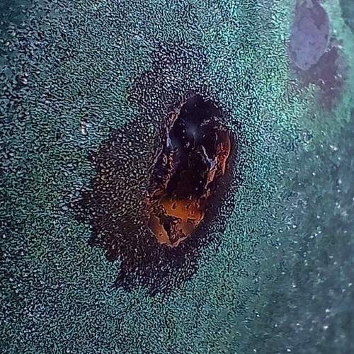 Photo #10500750