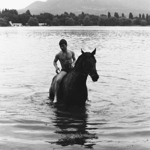 Photo #10501249