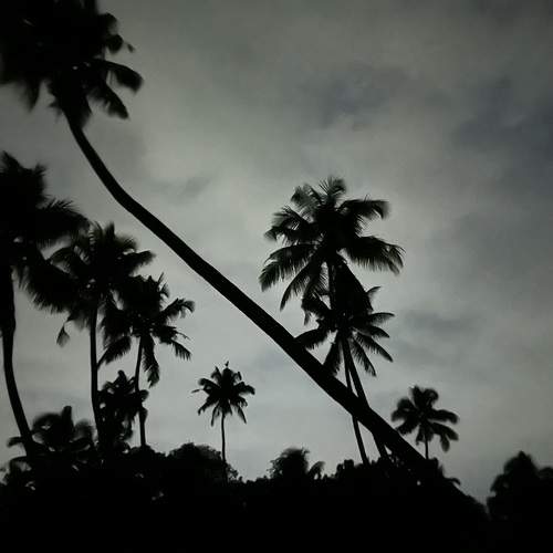 Photo #10502187