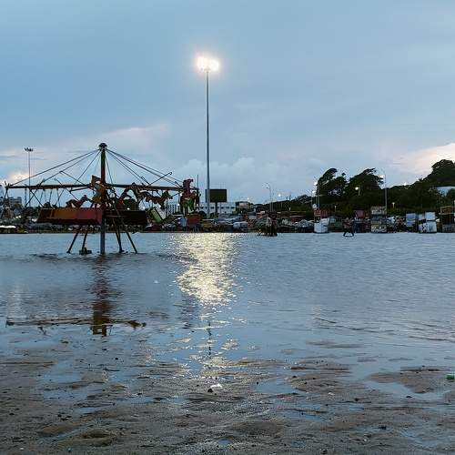 Photo #10502188