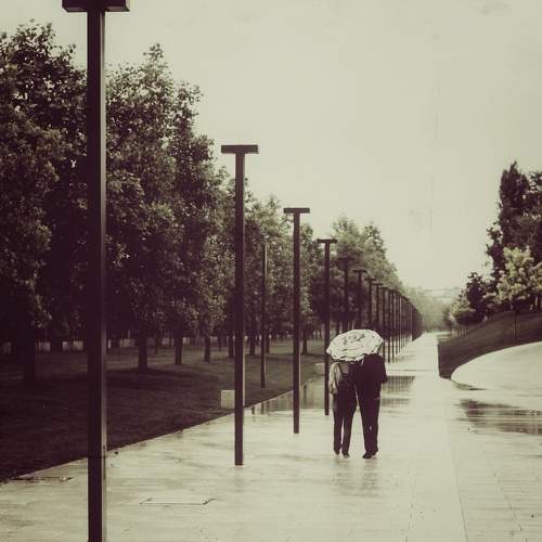 Photo #10502513