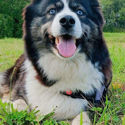 Photo #10502631