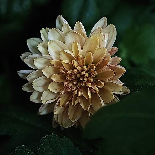 Photo #10502675