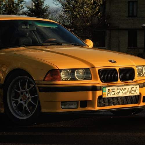 Photo #10503245
