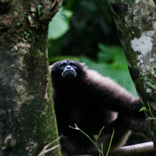 Photo #10503764