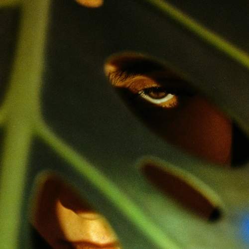 Photo #10503790