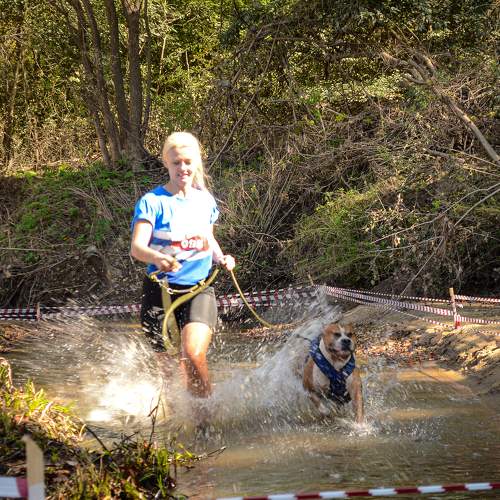Photo #10504324