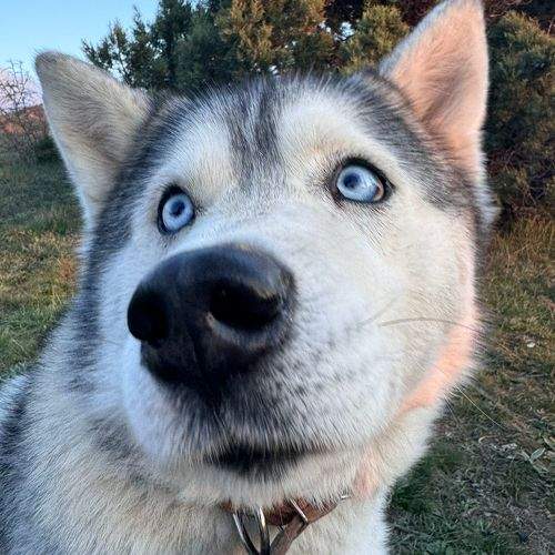 Photo #10504825