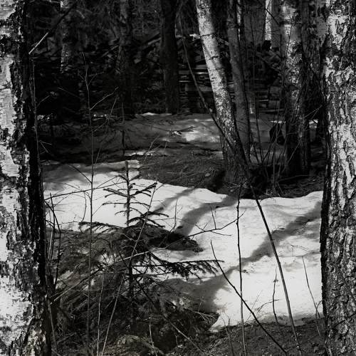 Photo #10505644