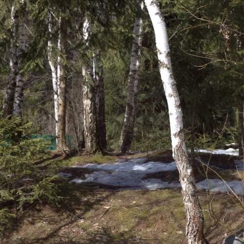 Photo #10505663