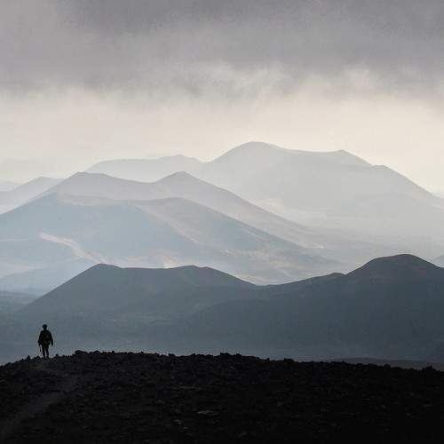 Photo #10505911