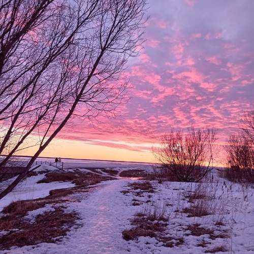 Photo #10505914