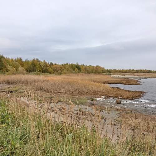 Photo #10505933