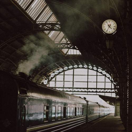 Photo #10506333