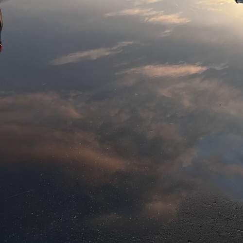 Photo #10506641