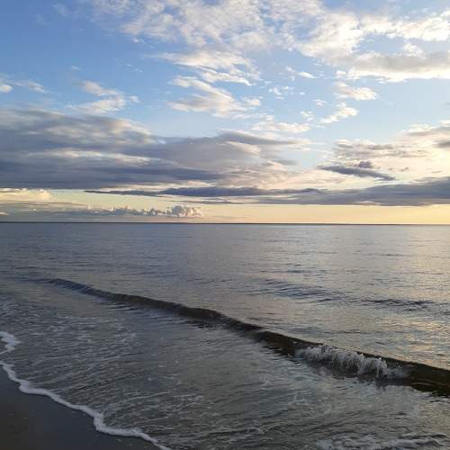 Photo #10507293
