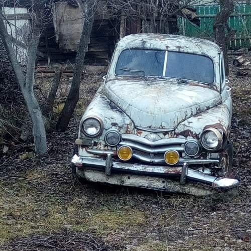 Photo #10507430