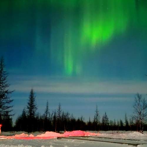 Photo #10507563