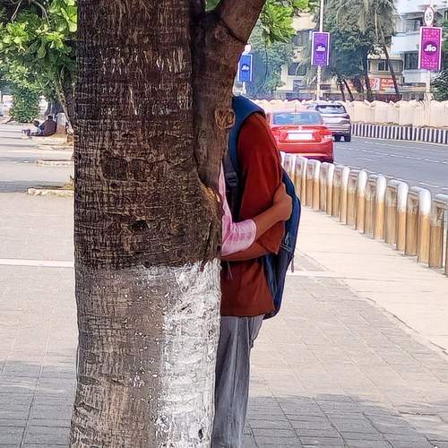 Photo #10508026