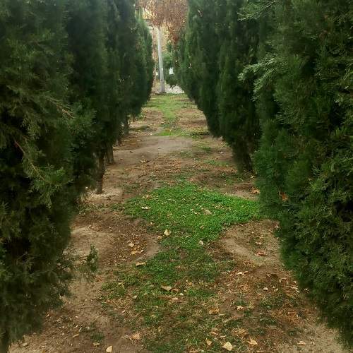 Photo #10509036