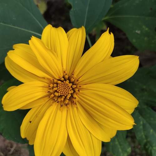 Photo #10509396