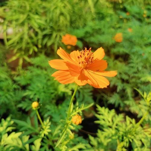 Photo #10509559