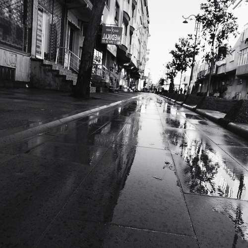 Photo #10509578
