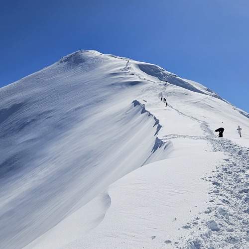 Photo #10509622