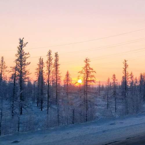 Photo #10509698