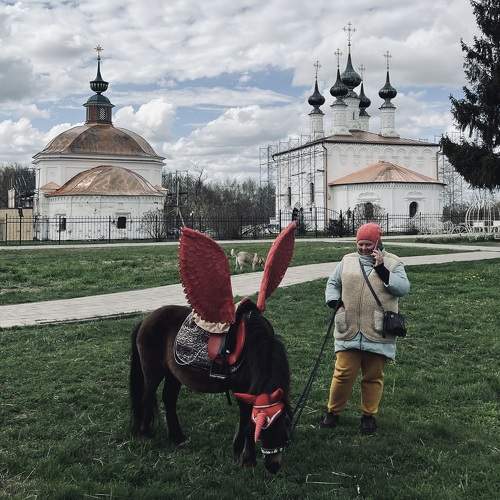Photo #10510241