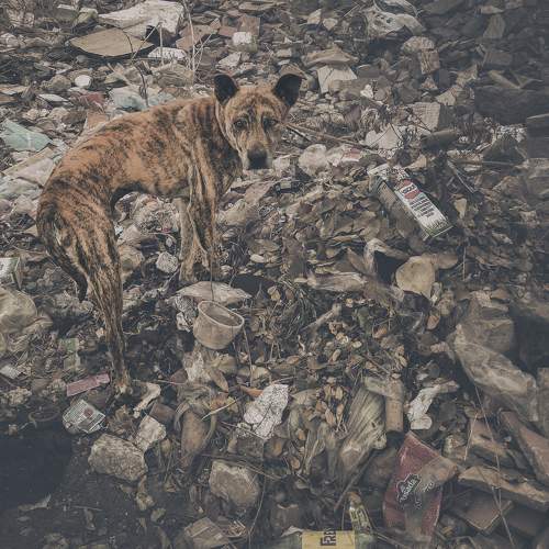 Photo #10510303
