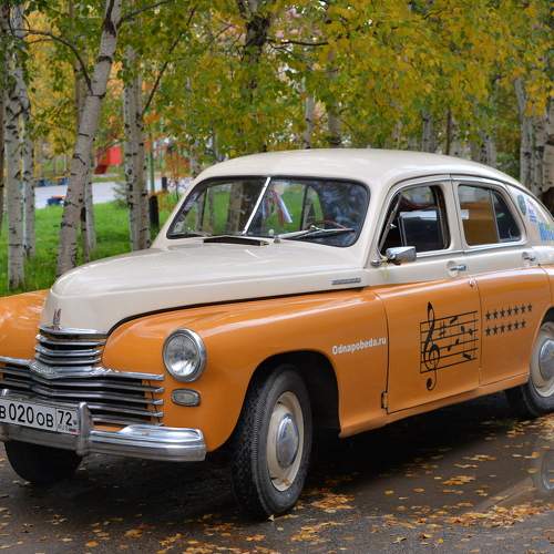 Photo #10510421