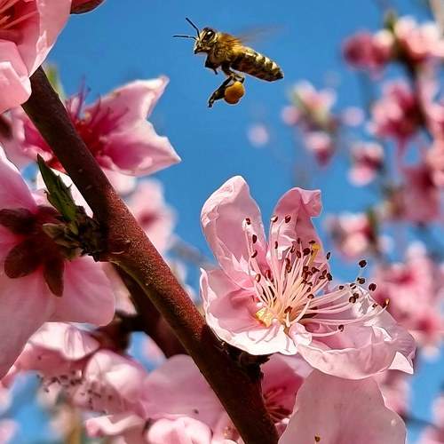 Photo #10510436