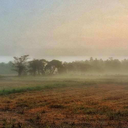 Photo #10510534