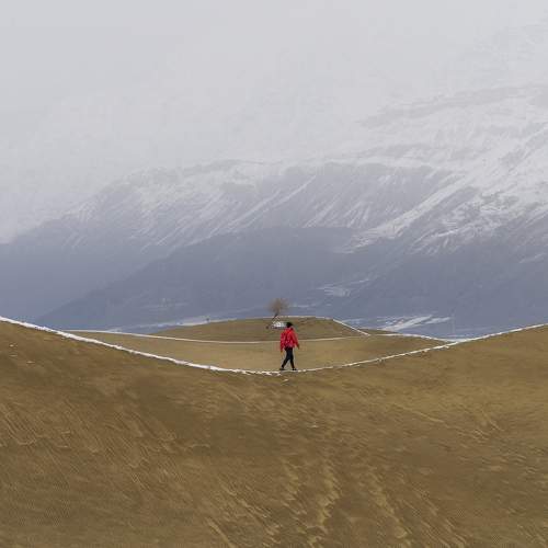 Photo #10510587