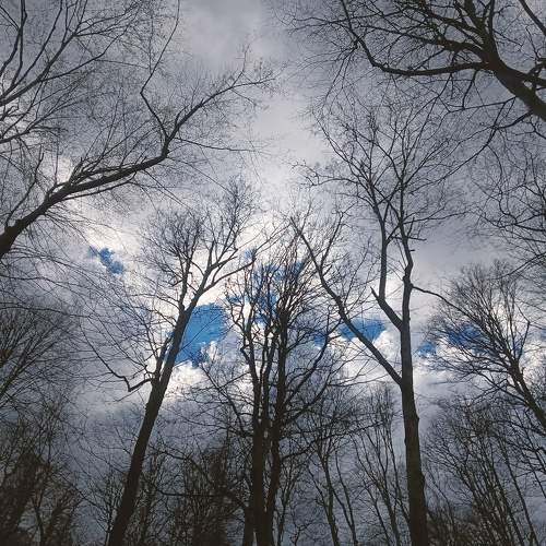 Photo #10510855