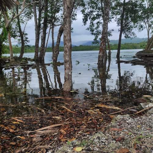 Photo #10510867