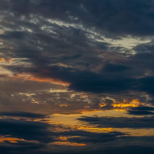 Photo #10510901