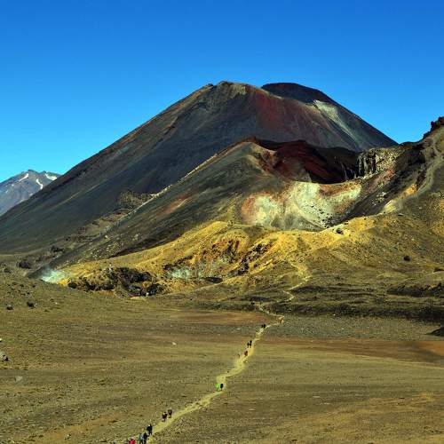 Photo #10510936