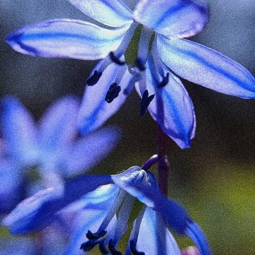 Photo #10511041