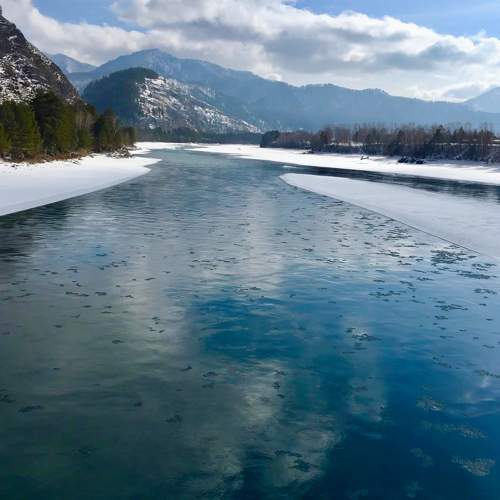 Photo #10511458