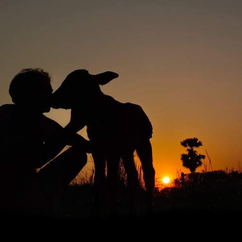 Photo #10511550