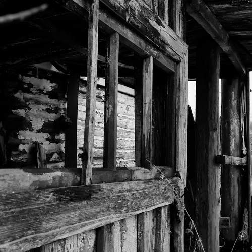 Photo #10511651
